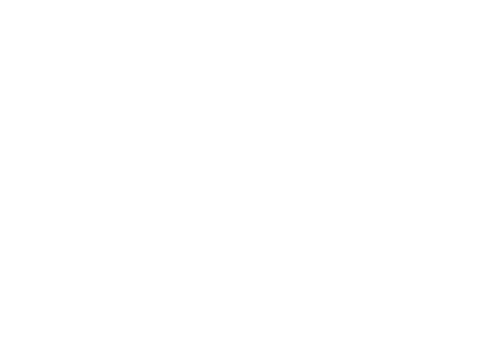 Vlaamse Overheid Logo